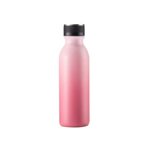 stainless steel water bottle