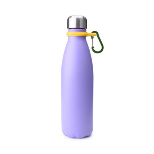 stainless steel water bottle with carabiner