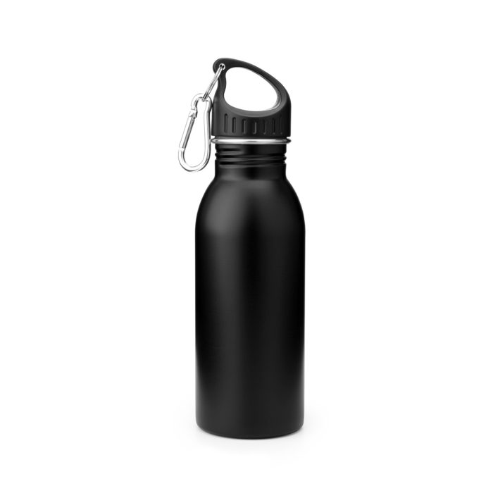 stainless steel water bottle with carabiner