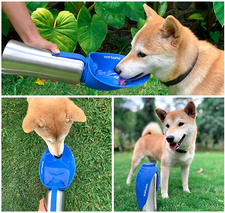 PupFlask (27oz) - Water Bottle – Tuff Pupper