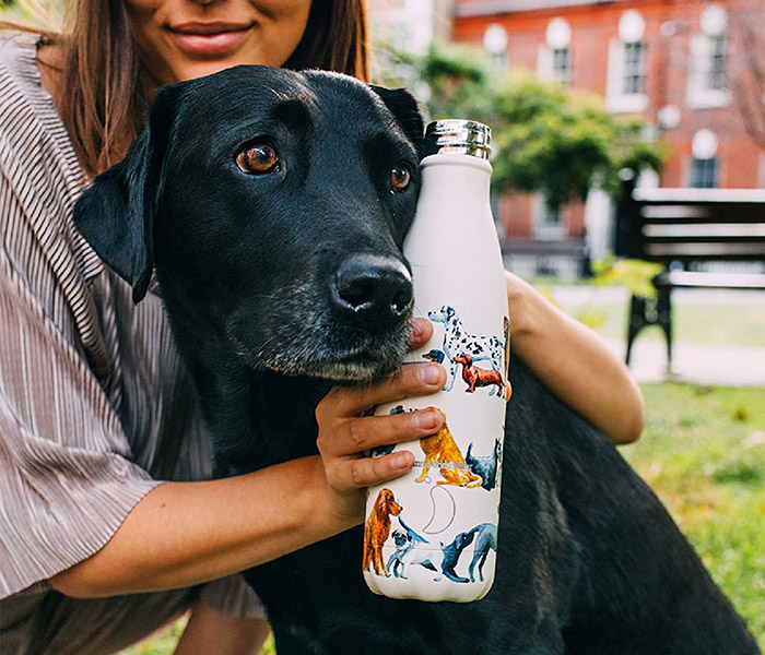 Cola Shape Water Bottles: S'well VS Chilly's, Which One Is Better?