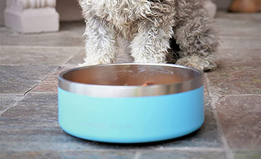 dishwasher safe dog pet bowls