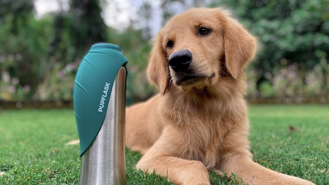 Dog Water Bottle  Portable Dog Water Bottle