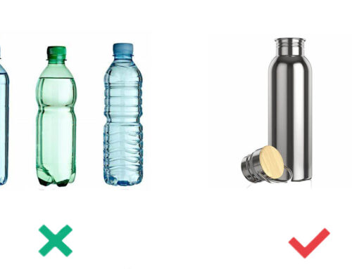 Plastic Free Water Bottles: Factors, Trend and Manufacturing