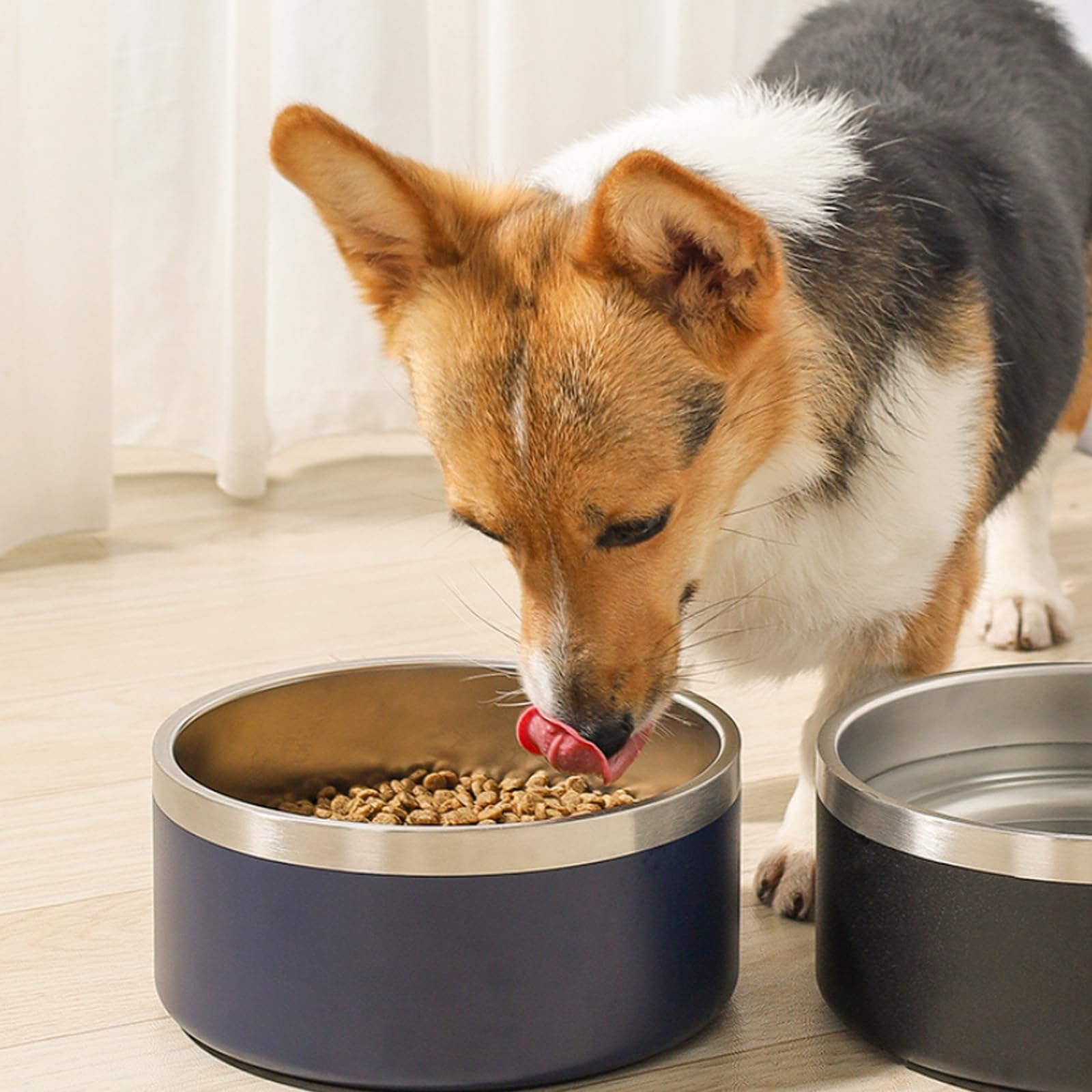 bulk dog bowls