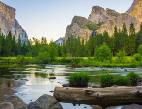 Protect Our National Parks: Eco-Friendly Stainless Steel Water Bottles for Outdoor Adventures