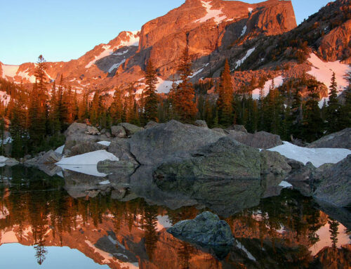Eco-Conscious Gifts: Vacuum-Insulated Bottles for National Park Supporters