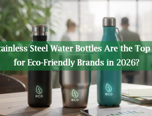 Why Stainless Steel Water Bottles Are the Top Choice for Eco-Friendly Brands in 2026?