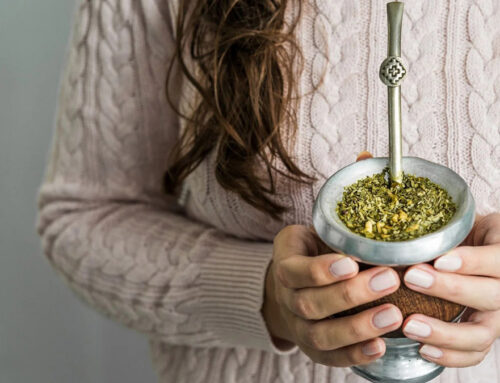 Yerba Mate Culture 101: Where It Comes From and Why a Dedicated Mate Cup Matters