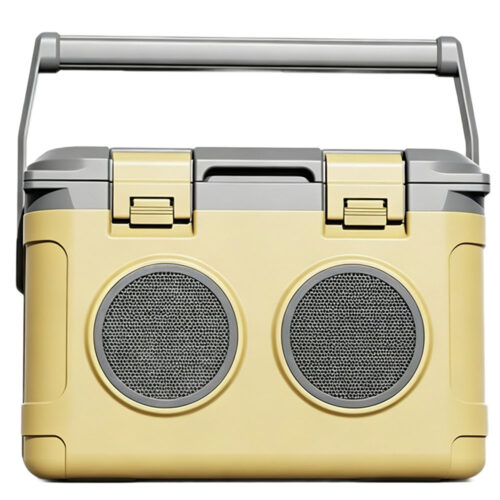 22.2 QT Wholesale Custom Ice Cooler Box 21 L Incubator Portable Insulated Wireless Speaker ice retention